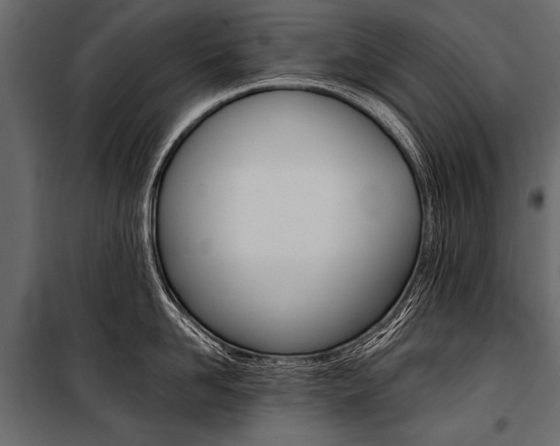 X0000100930958200806241134