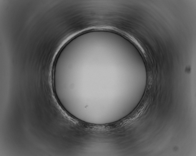 X0000100930959200806241134