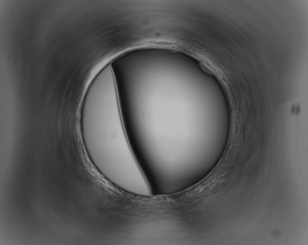 X0000100930960200806241134