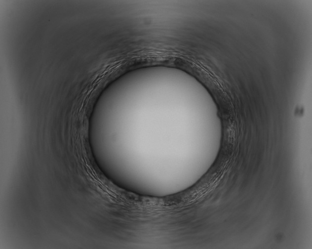 X0000100930961200806241134