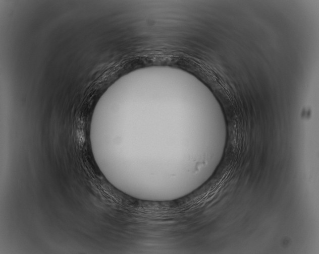 X0000100930962200806241134