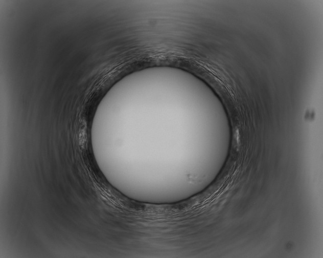 X0000100930963200806241134