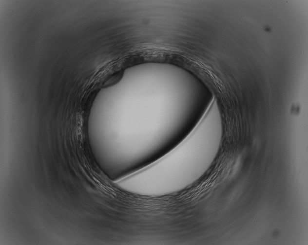 X0000100930964200806241134