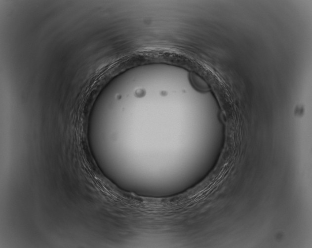 X0000100930965200806241134