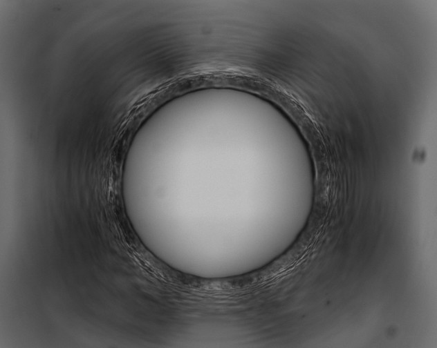 X0000100930966200806241134