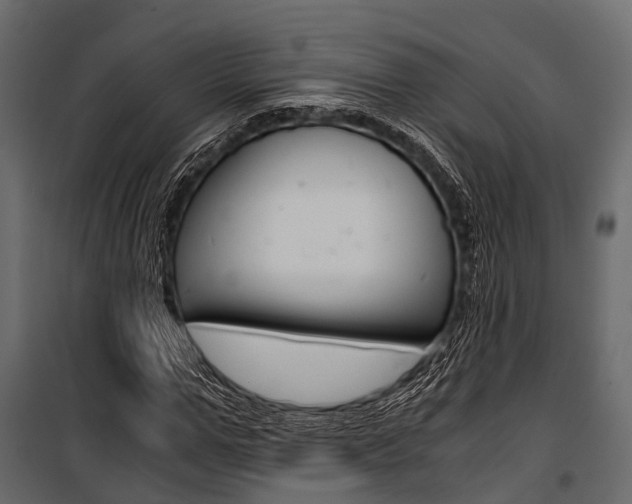 X0000100930967200806241134