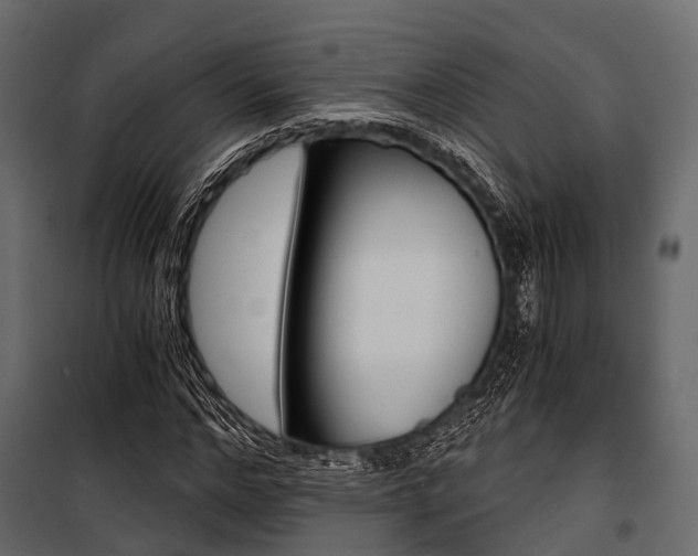 X0000100930968200806241134