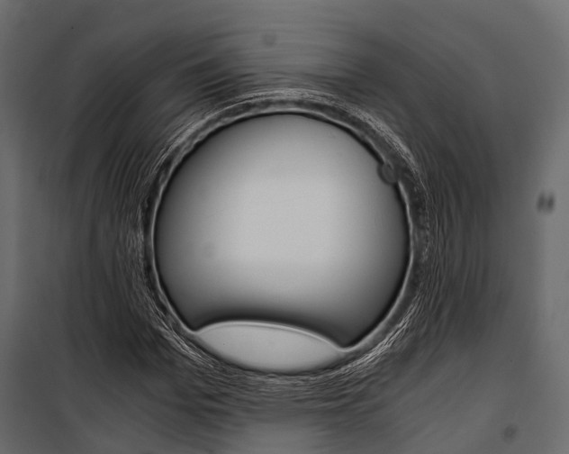 X0000100930969200806241134