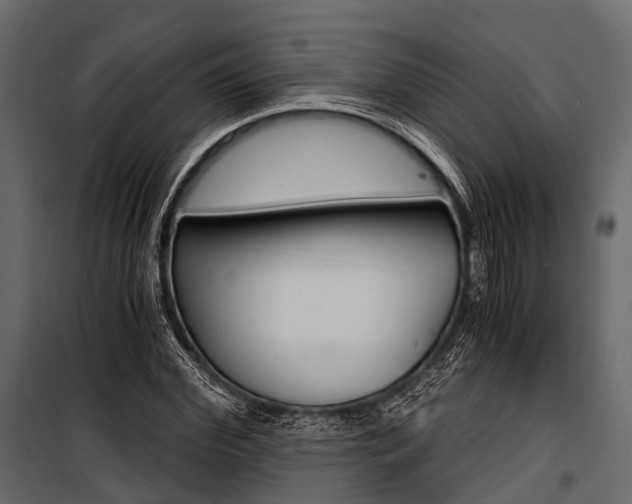 X0000100930972200806241133