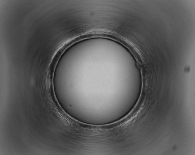 X0000100930973200806241133