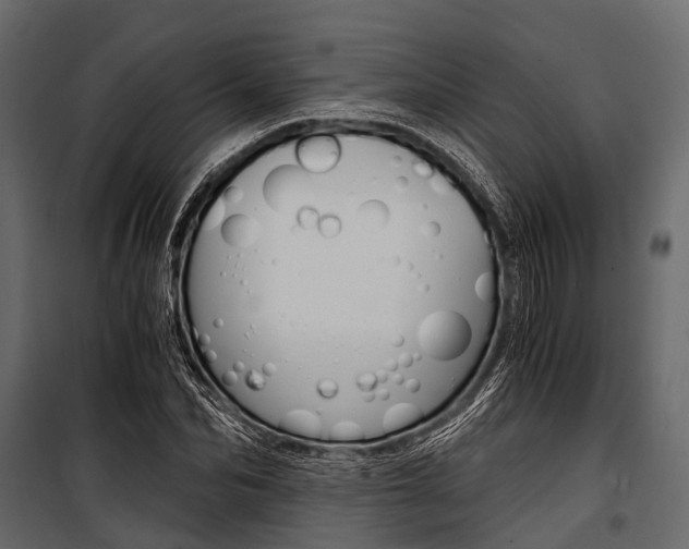 X0000100930974200806241133