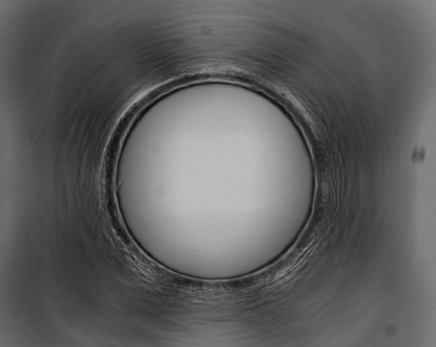 X0000100930975200806241133