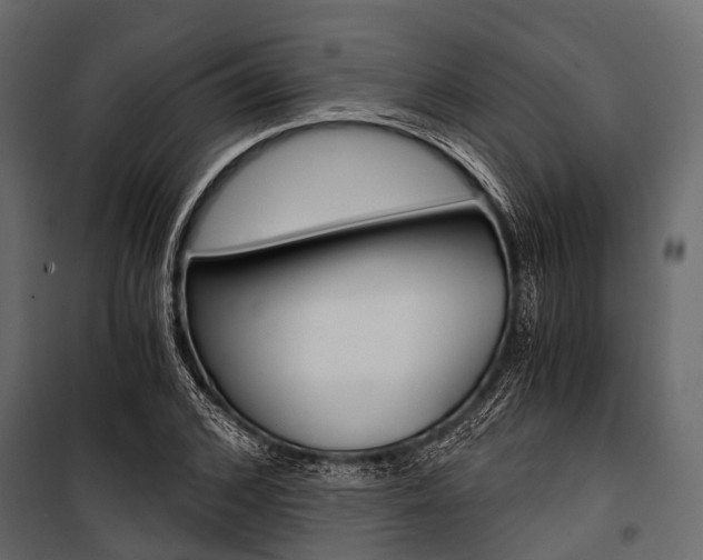 X0000100930976200806241133