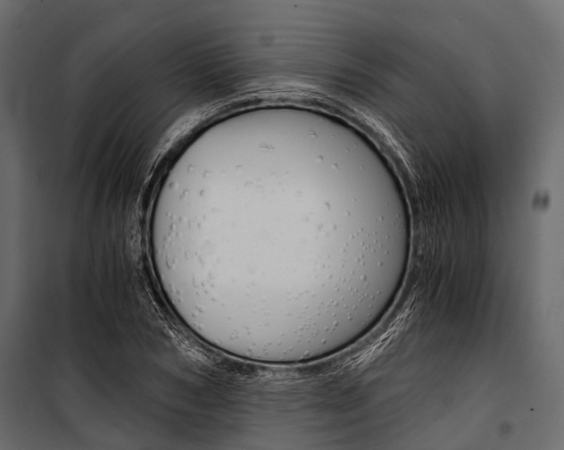 X0000100930978200806241133