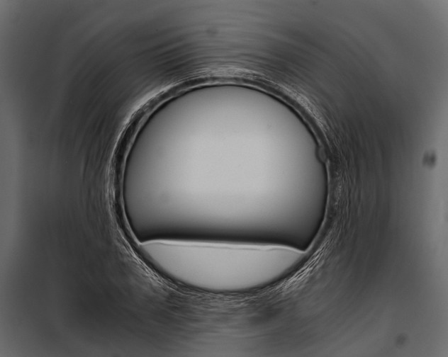 X0000100930979200806241133