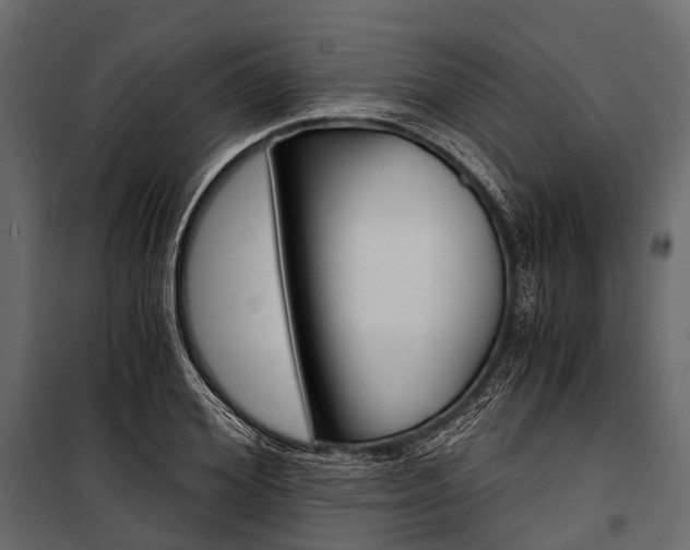 X0000100930980200806241133