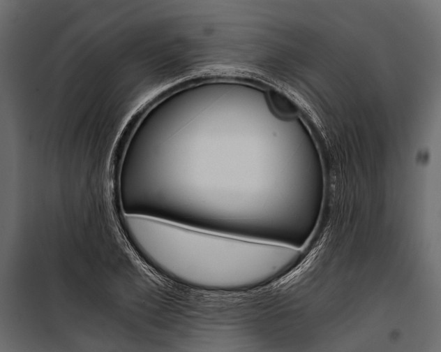 X0000100930981200806241133