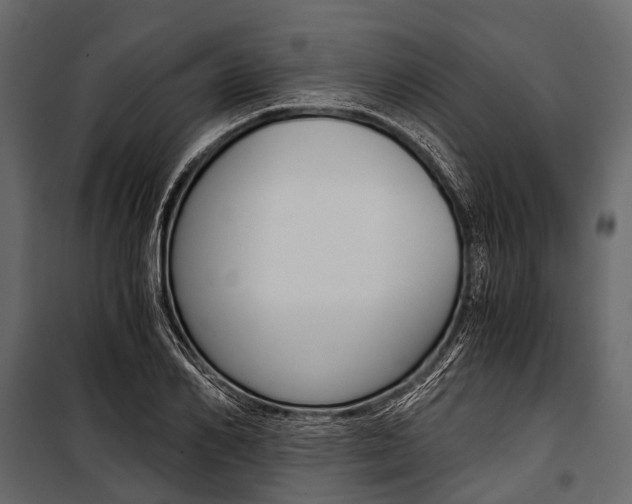 X0000100930982200806241133