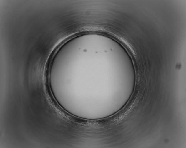 X0000100930983200806241133