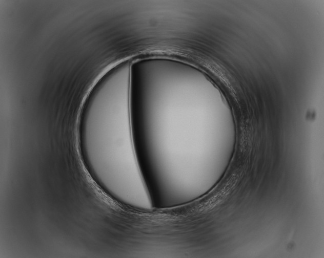 X0000100930984200806241133