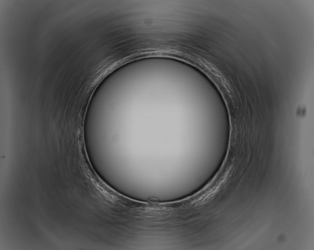 X0000100930985200806241133