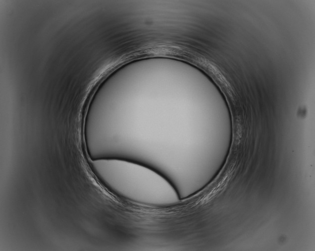 X0000100930986200806241133