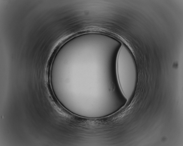 X0000100930987200806241133