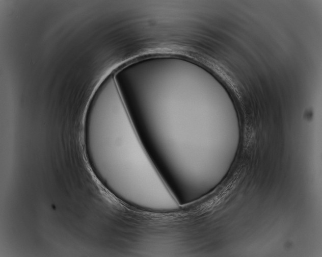 X0000100930988200806241133