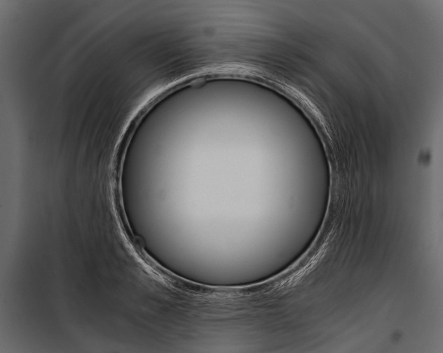 X0000100930989200806241133