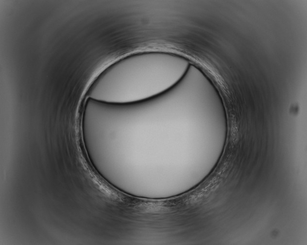 X0000100930990200806241133