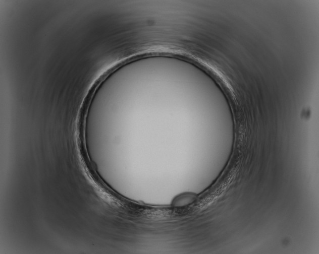 X0000100930991200806241133