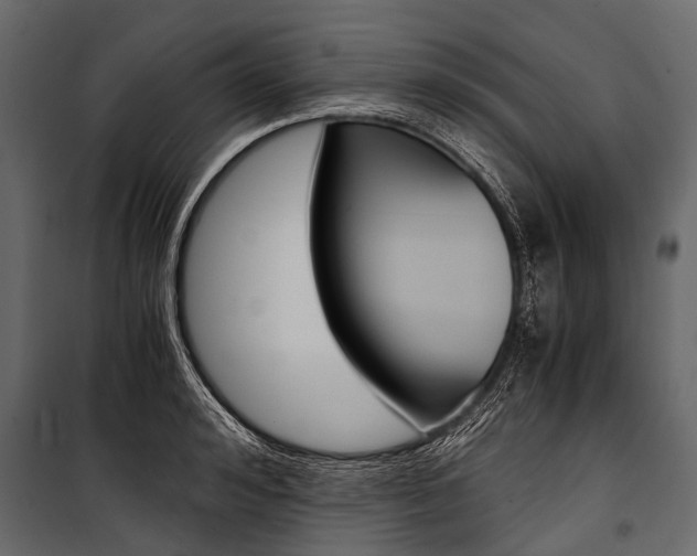 X0000100930992200806241133