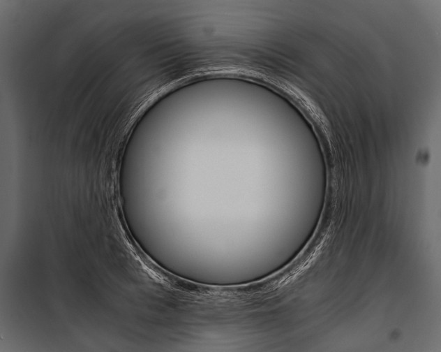 X0000100930993200806241133