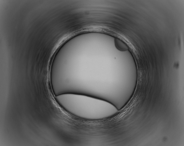 X0000100930994200806241133