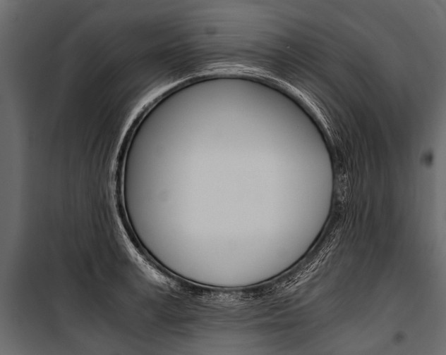 X0000100930995200806241133