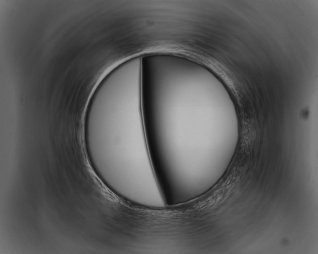 X0000100930996200806241133