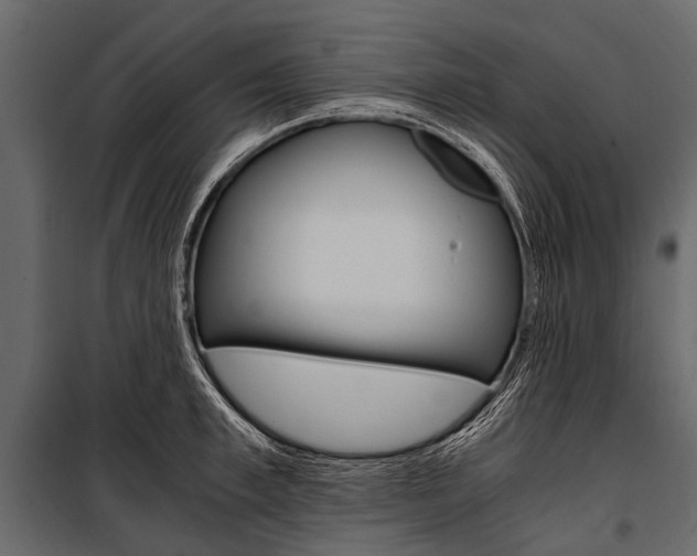 X0000100930997200806241133