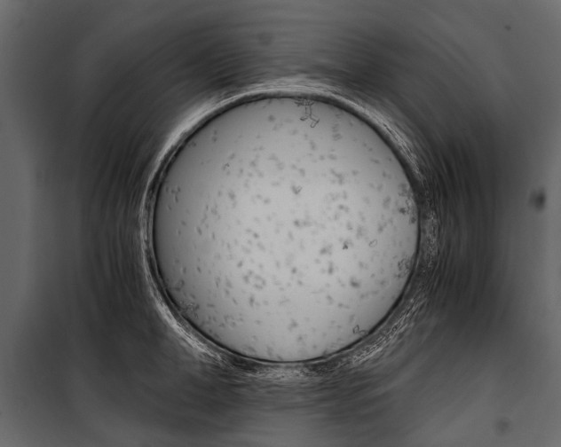 X0000100930998200806241133