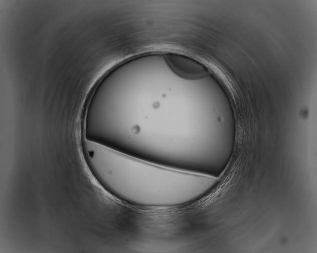 X0000100930999200806241133