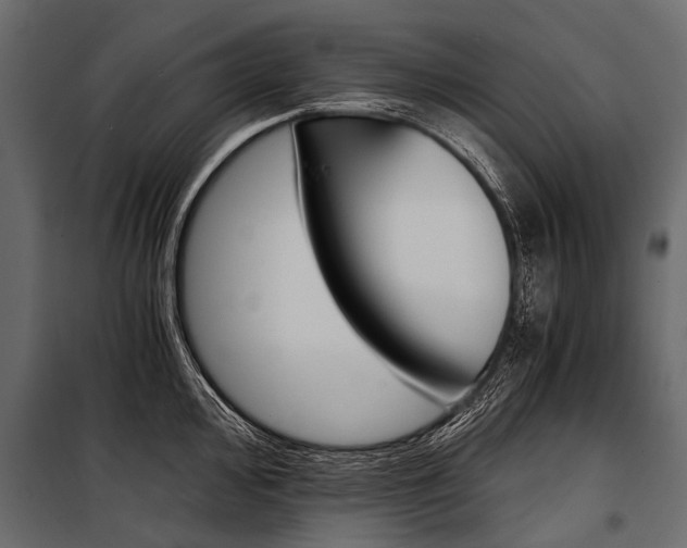 X0000100931000200806241133