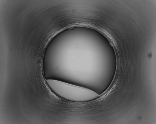 X0000100931001200806241133