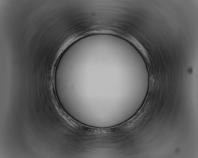 X0000100931002200806241133