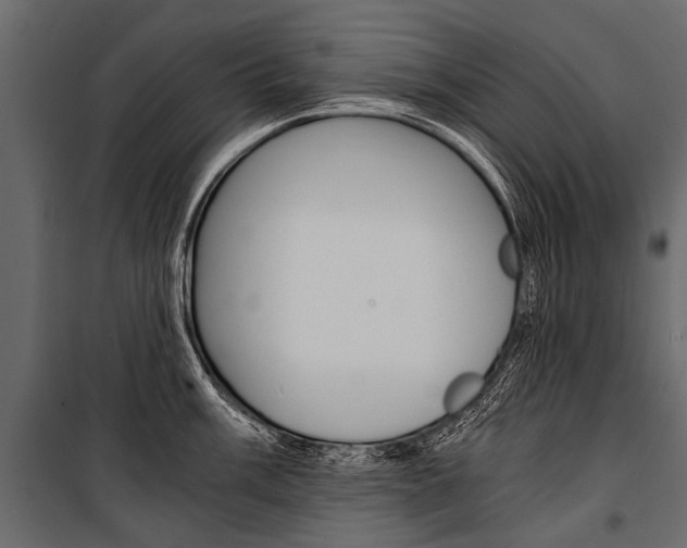 X0000100931003200806241133