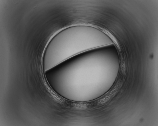 X0000100931004200806241133