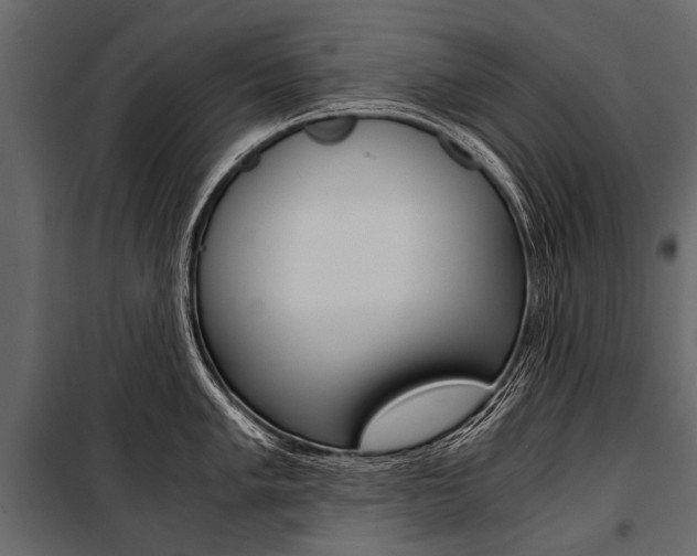 X0000100931005200806241133