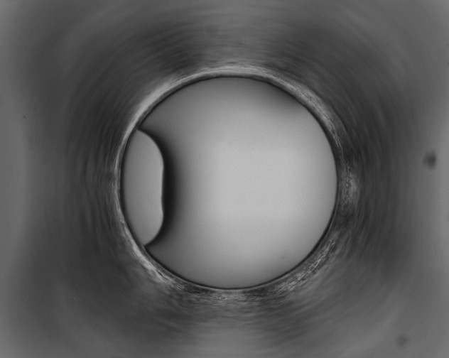 X0000100931006200806241133