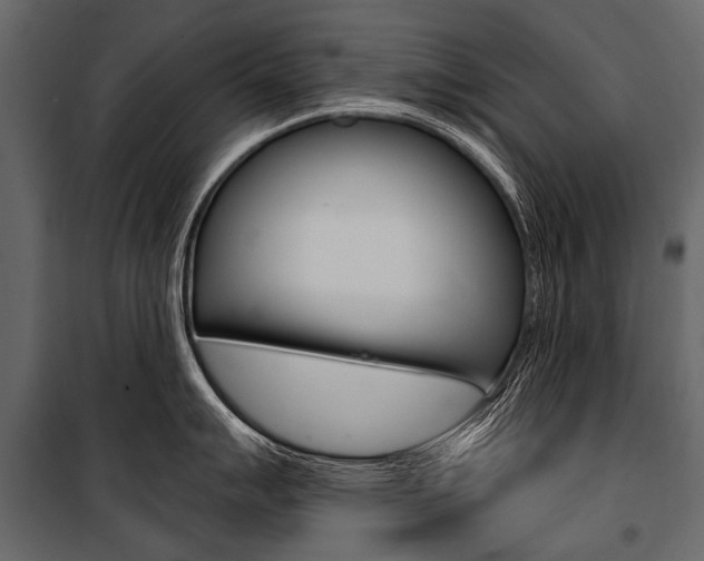 X0000100931007200806241133