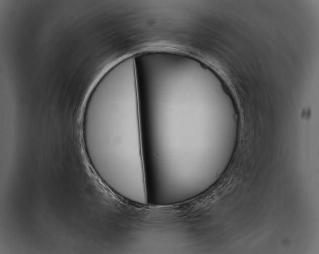 X0000100931008200806241133