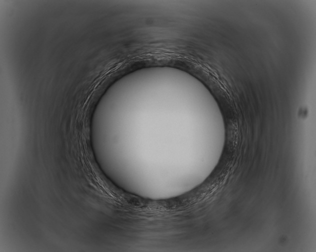 X0000100931009200806241132