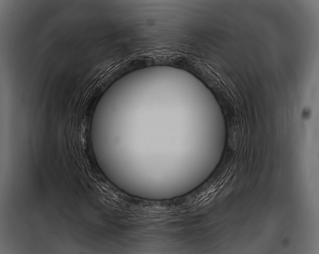 X0000100931010200806241132